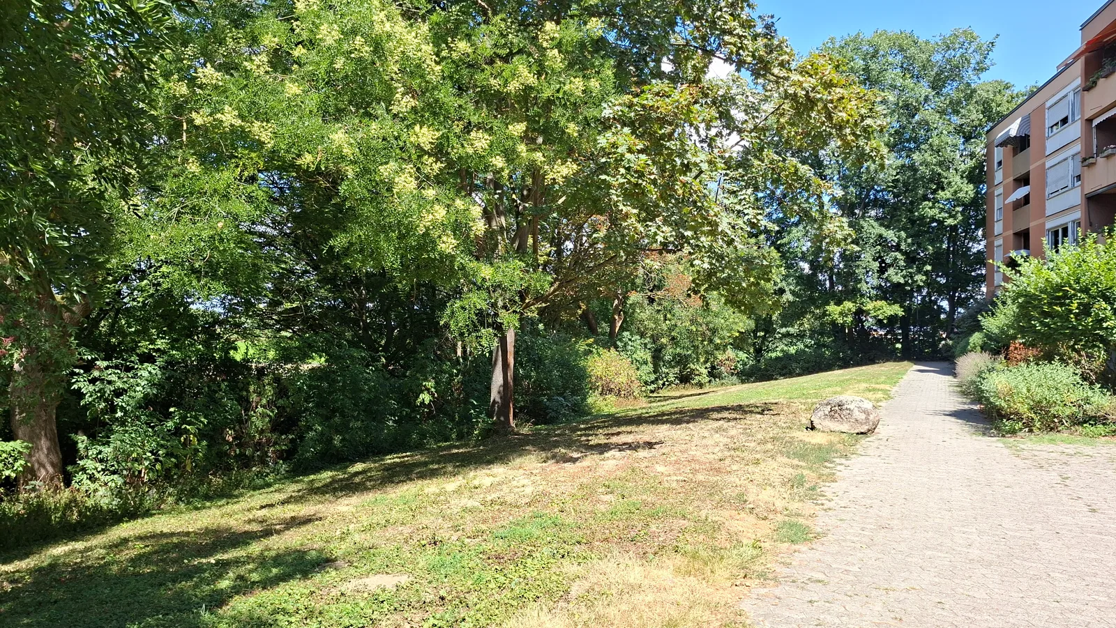Grünstreifen an der Wohnanlage
